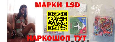 индика Кингисепп