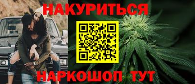индика Кингисепп