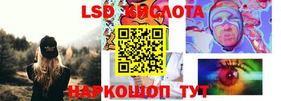 индика Кингисепп
