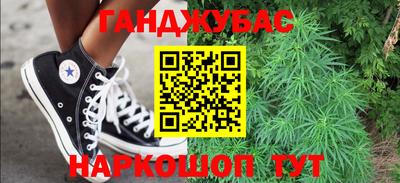 индика Кингисепп