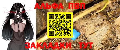 индика Кингисепп