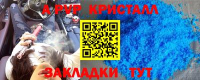индика Кингисепп