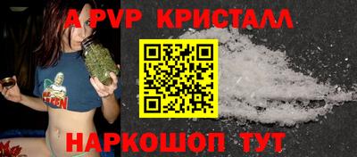 индика Кингисепп
