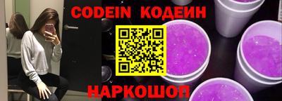 индика Кингисепп