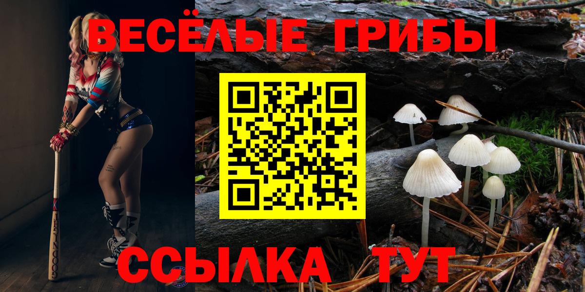 Псилоцибиновые грибы MAGIC MUSHROOMS Благовещенск