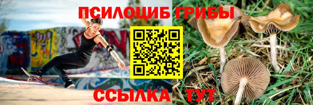 Благовещенск  Галлюциногенные грибы MAGIC MUSHROOMS  Вход с VPN 